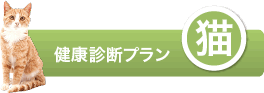 文京区 本駒込動物病院　猫　健康診断