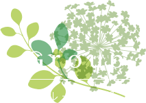 文京区 本駒込動物病院の小滝橋動物病院グループ　グループ施設