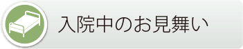 文京区 本駒込動物病院　入院中のお見舞い