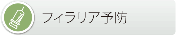 文京区 本駒込動物病院　フィラリア予防