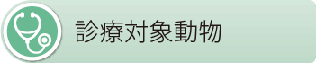 文京区 本駒込動物病院 診療対象動物