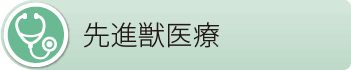 文京区の本駒込動物病院 先進獣医療